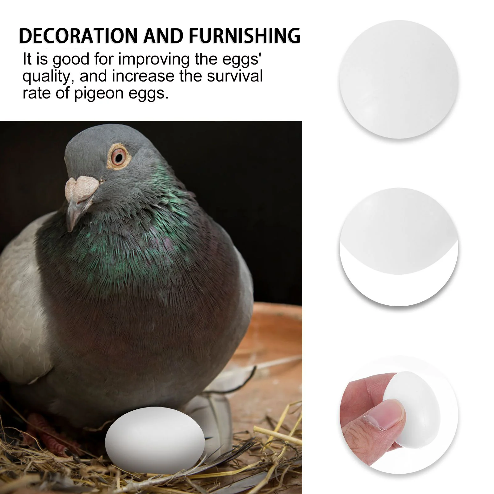 30Pcs Solid Plastic Pigeon Eggs for Tricking Birds to Stop Laying Eggs bird egg pigeon bird egg plastic egg