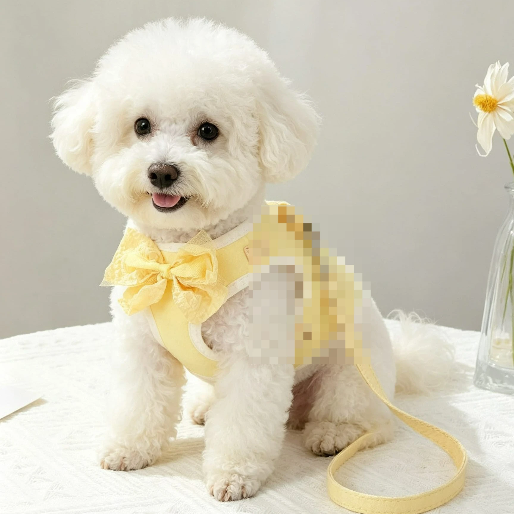New Adjustable Plaid Dog and Cat Harness Cute Breathable Escape Vest for Puppies and Kittens Teddy Pomeranian Bichon Curly Vest