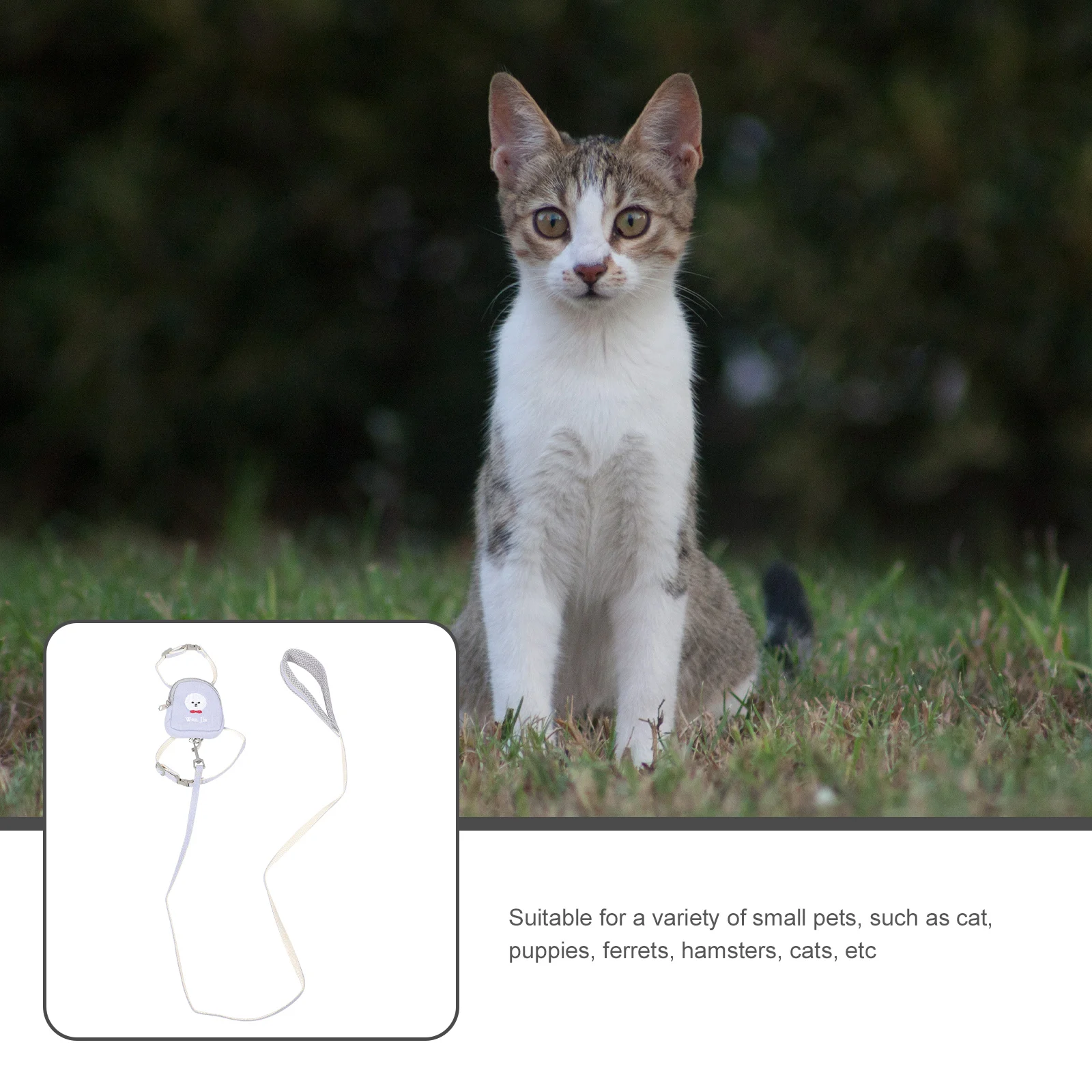 

1 Set Cat Harness Leash Set Adjustable Small Pet Vest Outdoor Safety Puppy Ferret Hamster Harness Leash Kit For Kitten Guinea