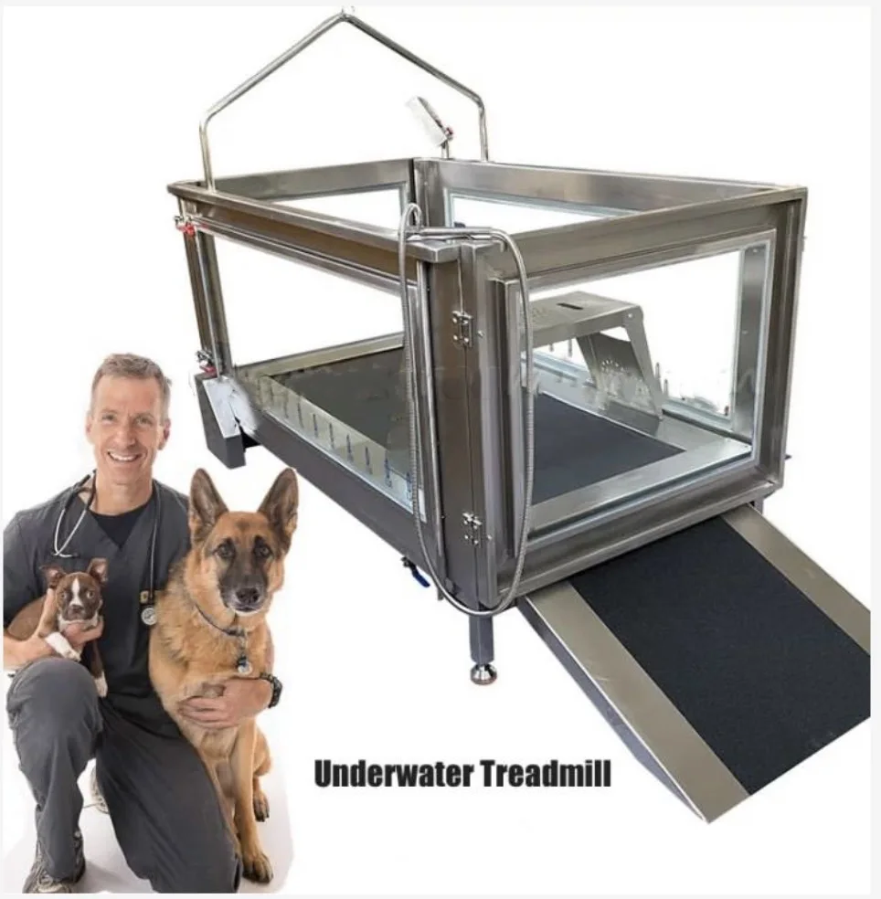 Dogs Electric Treadmill Underwater Treadmill For Pets