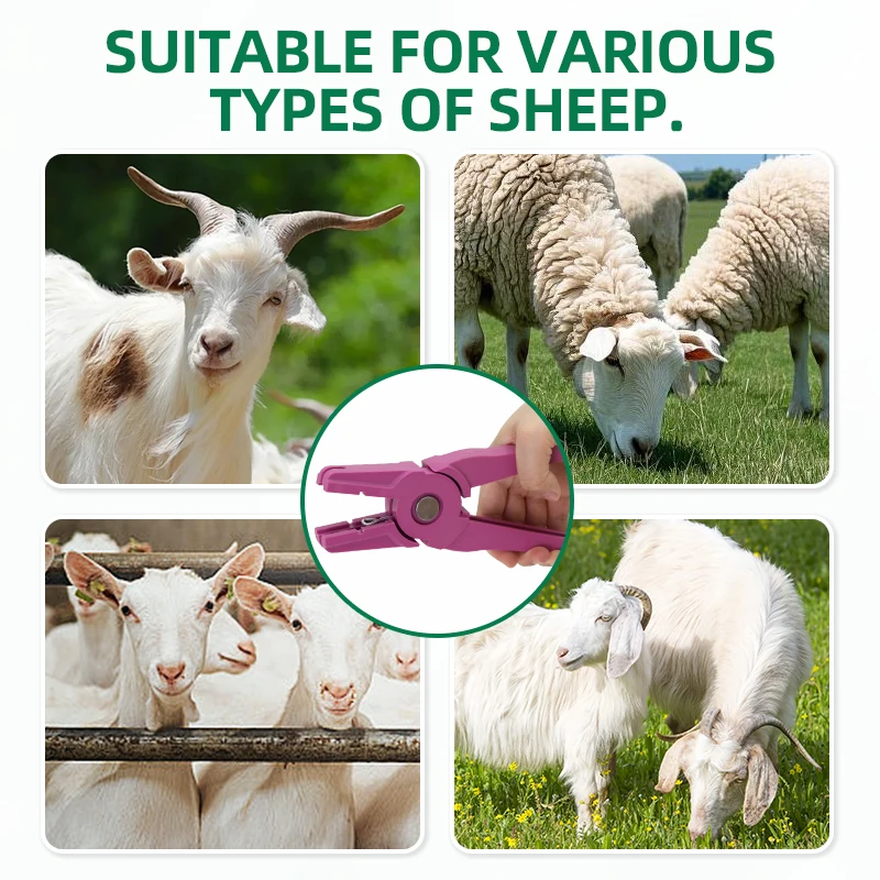 1 قطعة الماشية الحيوان الماعز الأذن العلامة كماشة تحديد أداة ل الكلب الأغنام الأذن العلامات مادة النايلون الأغنام الليزر الأذن العلامة 70*10 مللي متر