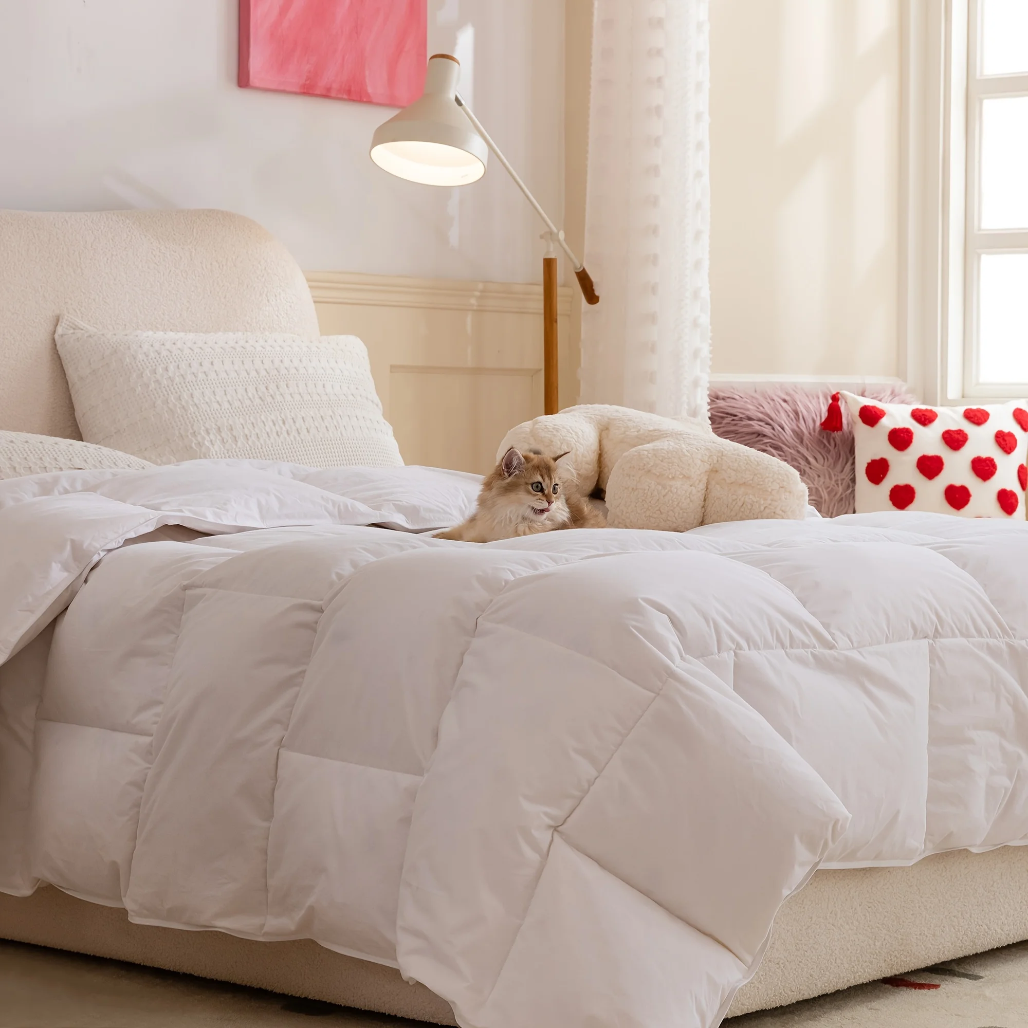 All-Season Soft Cotton Covered Down Comforter with White Goose Feathers, Medium Warmth, Cozy Duvet Insert Featuring 8 Corner Tabs