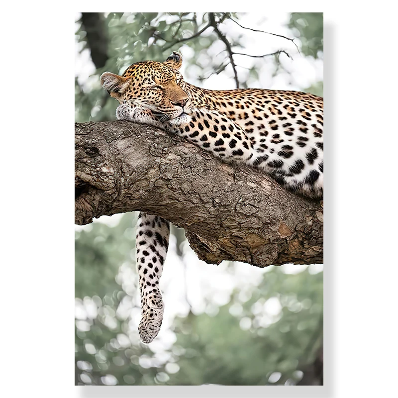 2026 Jungle Landscape Canvas Poster Animal Leopard Elephant Print Painting Palm Leaves Forest River Bridge Nordic Picture De