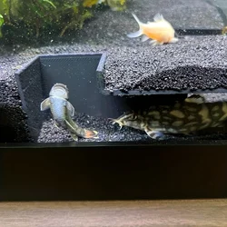 Aquarium corner tunnel/with observation hidden window