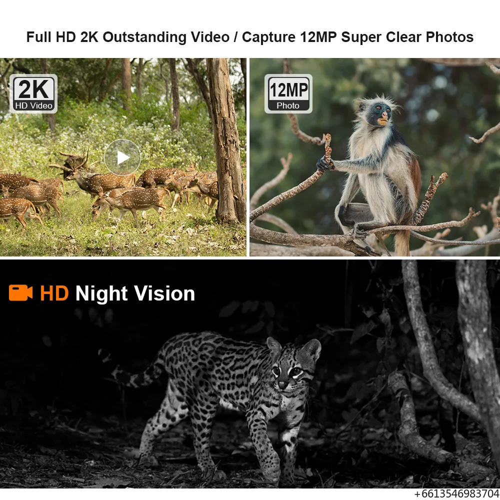 LS VISION 2K 4G Solar Trail Camera 3MP PIR Motion Detection Built in GPS 15M IR NIght Vision IP66 Waterproof Wildlife Cameras