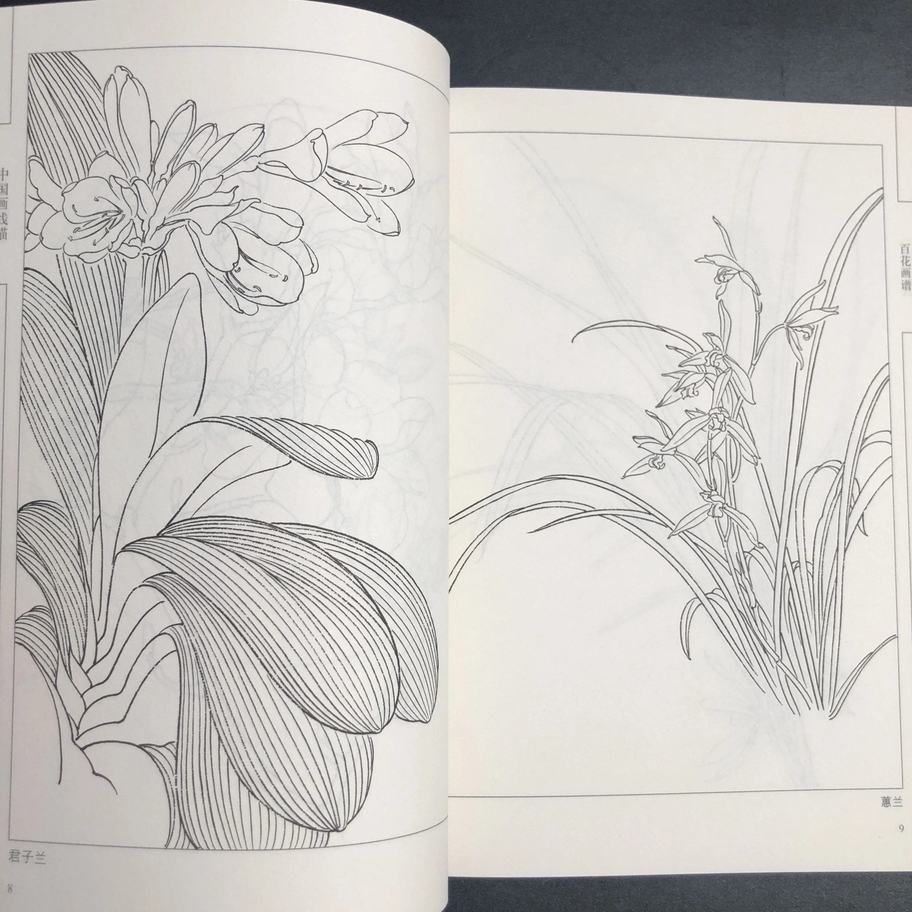 كتاب تلوين للبالغين والمراهقين يتميز بتصميمات سهلة وبسيطة لرسم الرسم الصيني للاسترخاء