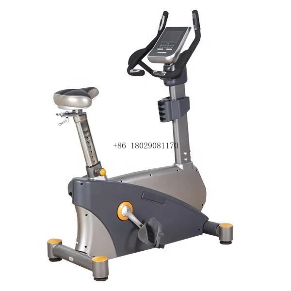 Bike Gym Exercise Bikes from Trusted Supplier Commercial Use Magnetic Training