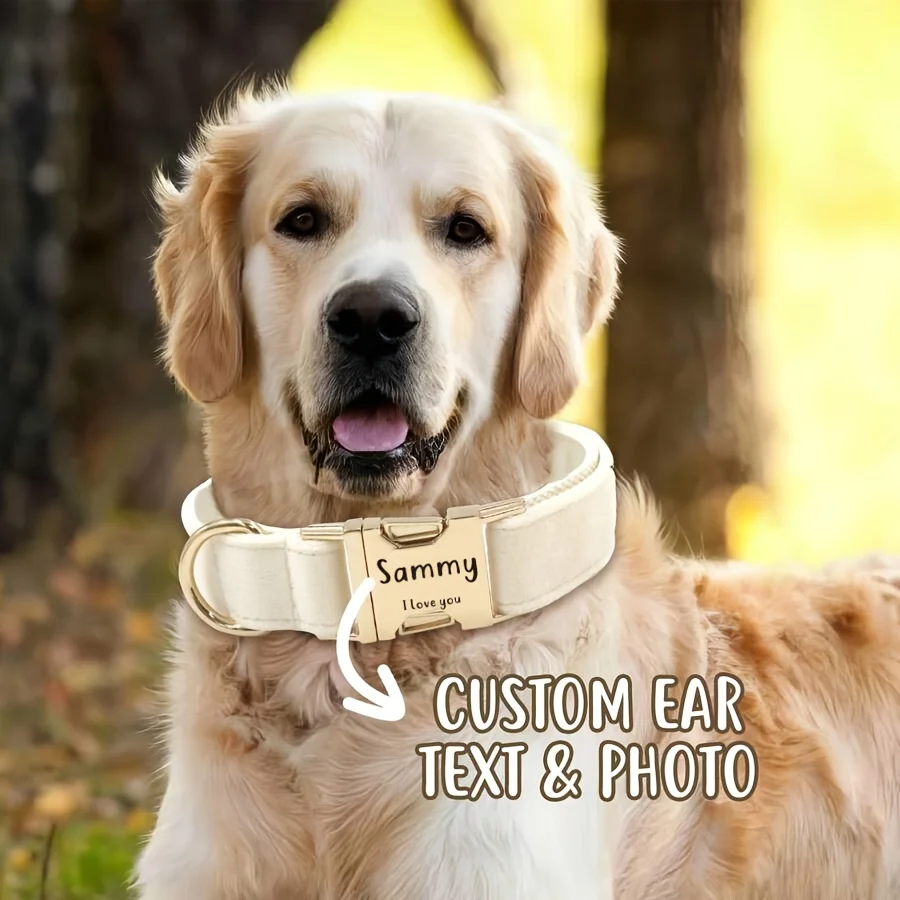 Thumbnail 4 - #58 Best Dog Collars to Buy In 2026