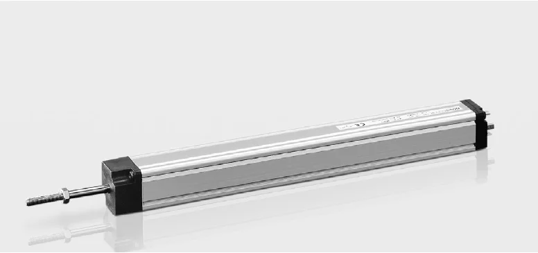 2025 German Novojap…