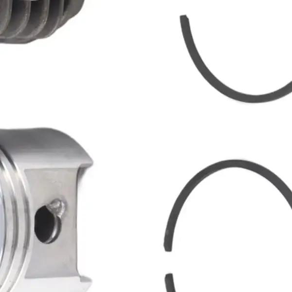 49mm Cylinder Piston= Kit Compatible With TS400 BR350 BR430 BR450 SR430 Replaces 42230201200 42231410300 Garden Tools
