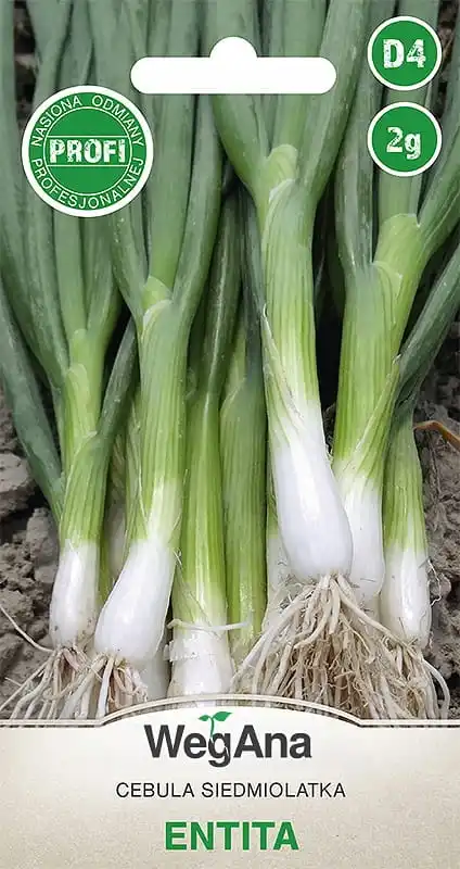 Cebolla 7 años Entita 2g semillas de cebolla vegetal VegAna