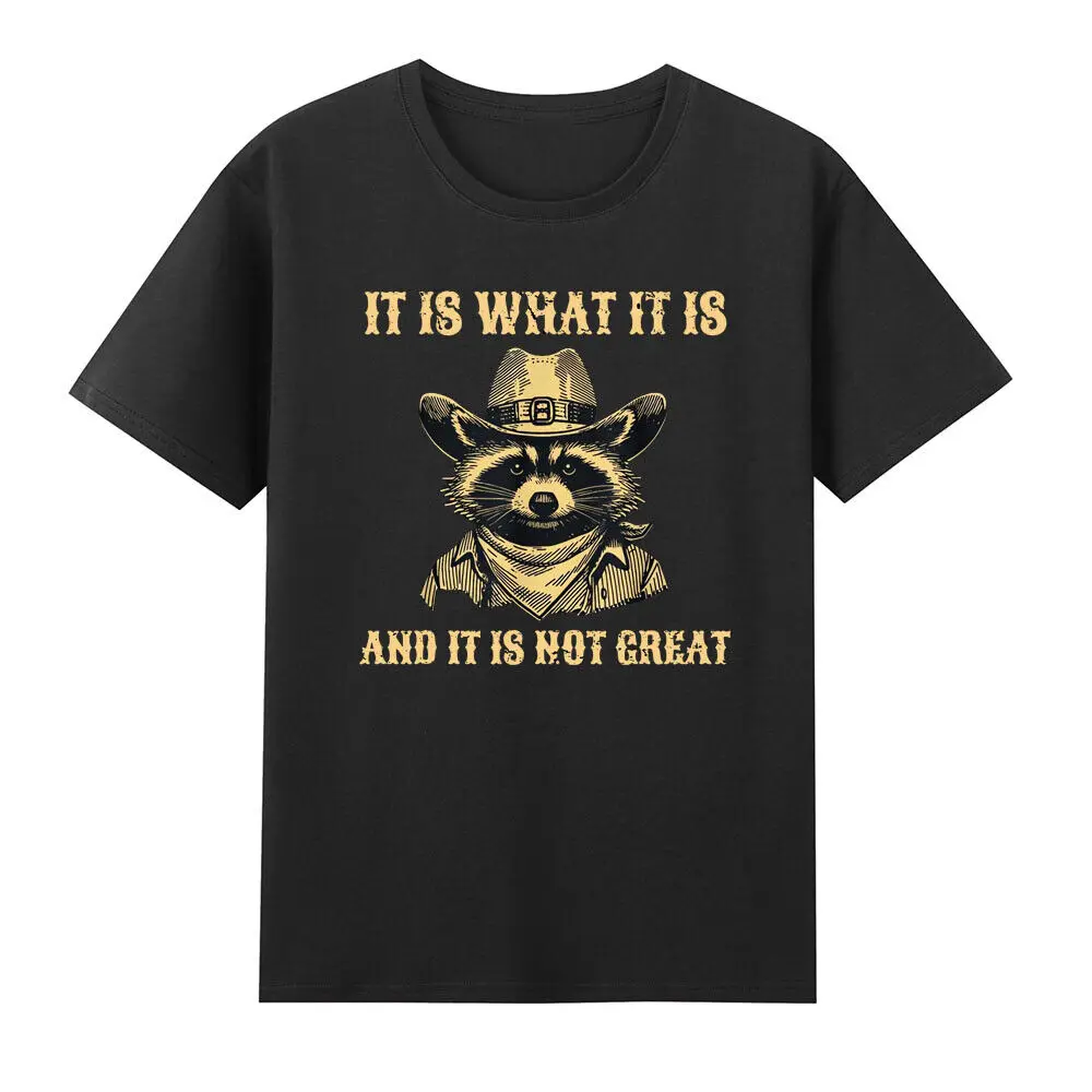 

It Is What It Is And It Is Not Great Funny Raccoon Cowboy Meme Vintage T-Shirt