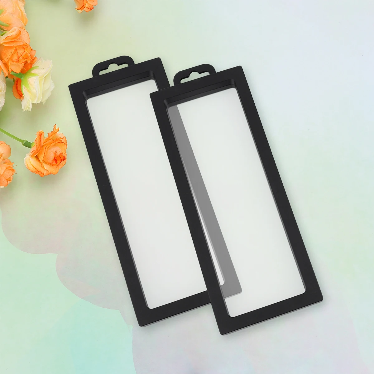 

2 Pcs Transparent Display Stand Black Necklace Floating Case Frame Clear Frames Storage for Jewelry PE Holder