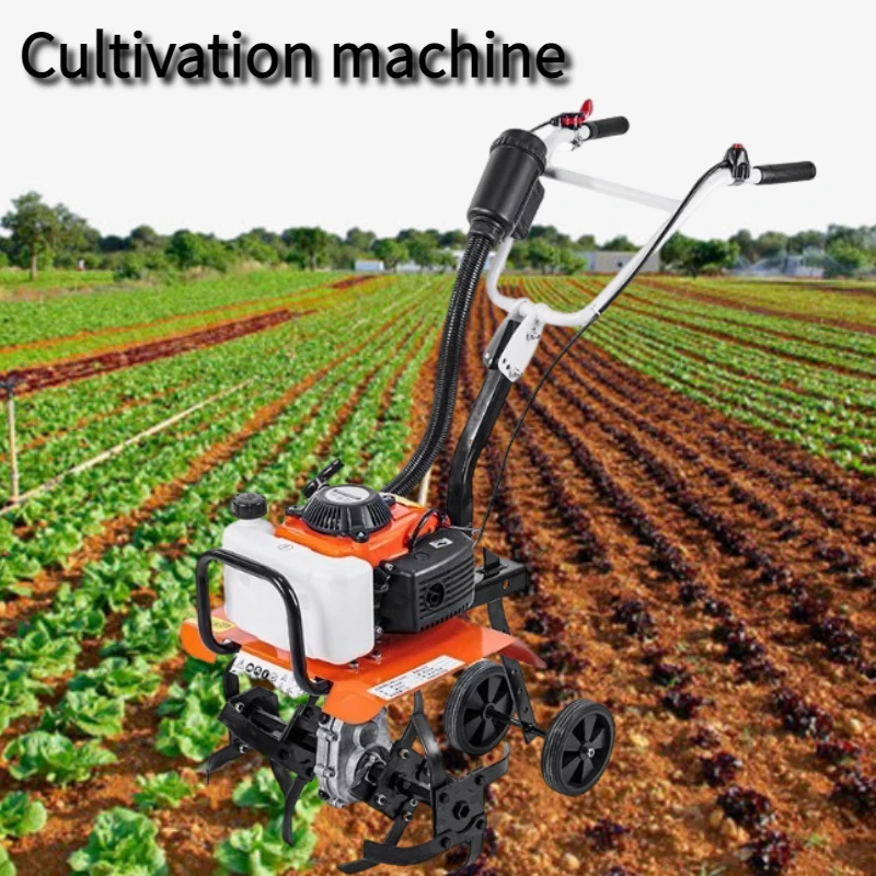 Small Agricultural … - image