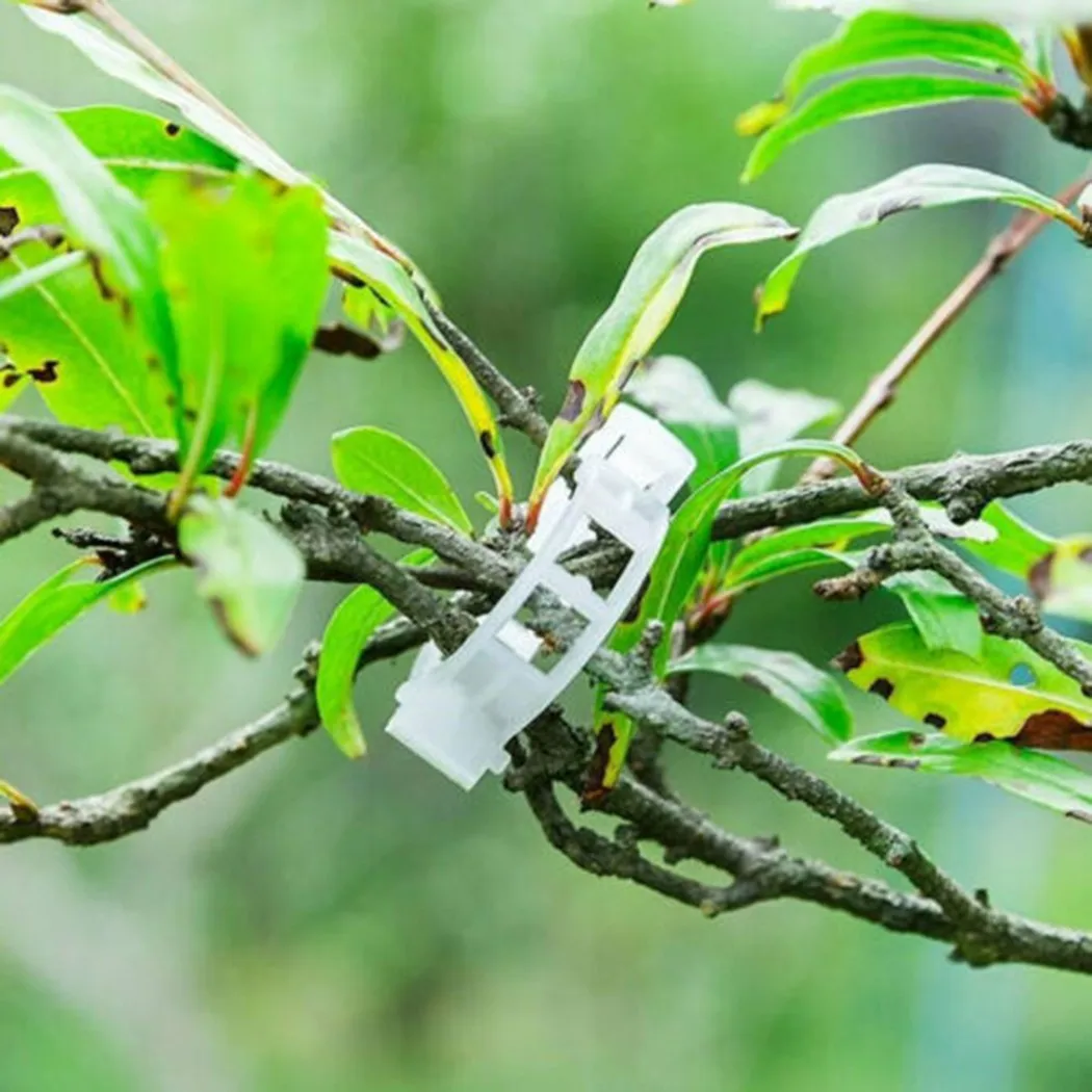 Vegetables Vine Clips Tomato Support 100Pcs Veggie Greenhouse Plant Vine Clips Lightweight For Grafting Eggplant
