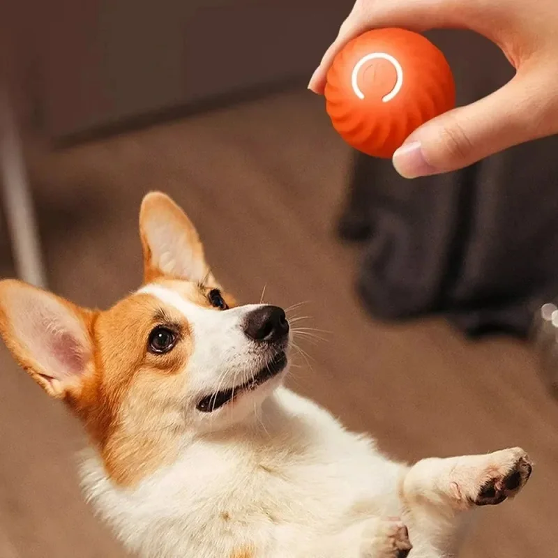 Movimento automático Bouncing Rolling Ball para Dog, USB, Inteligente, Interativo, Mastigar Brinquedo, Cachorro