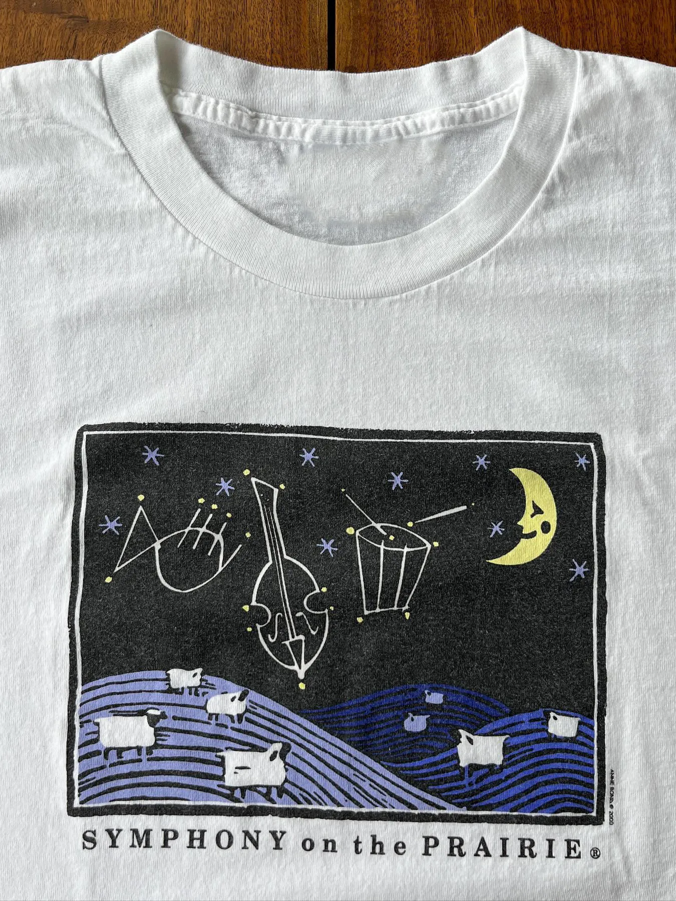 Loose Fit Short Sleeve T-Shirt Vintage American Art Deco Prairie Symphony Style Casual Comfortable Cotton Top for Men And Women