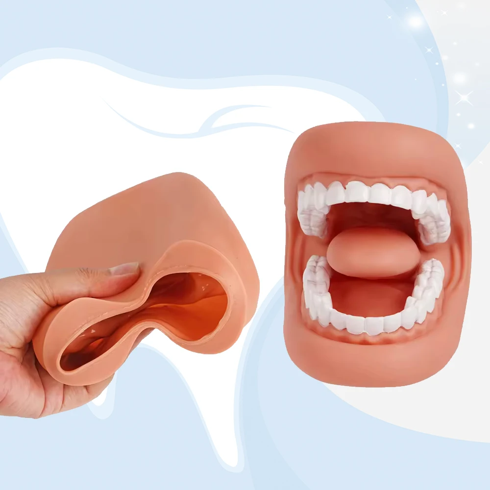 

Ручная кукла с мощным ртом и подвижным язычком челюсти для обучения чистить нитью и стоматологической анатомии для детей