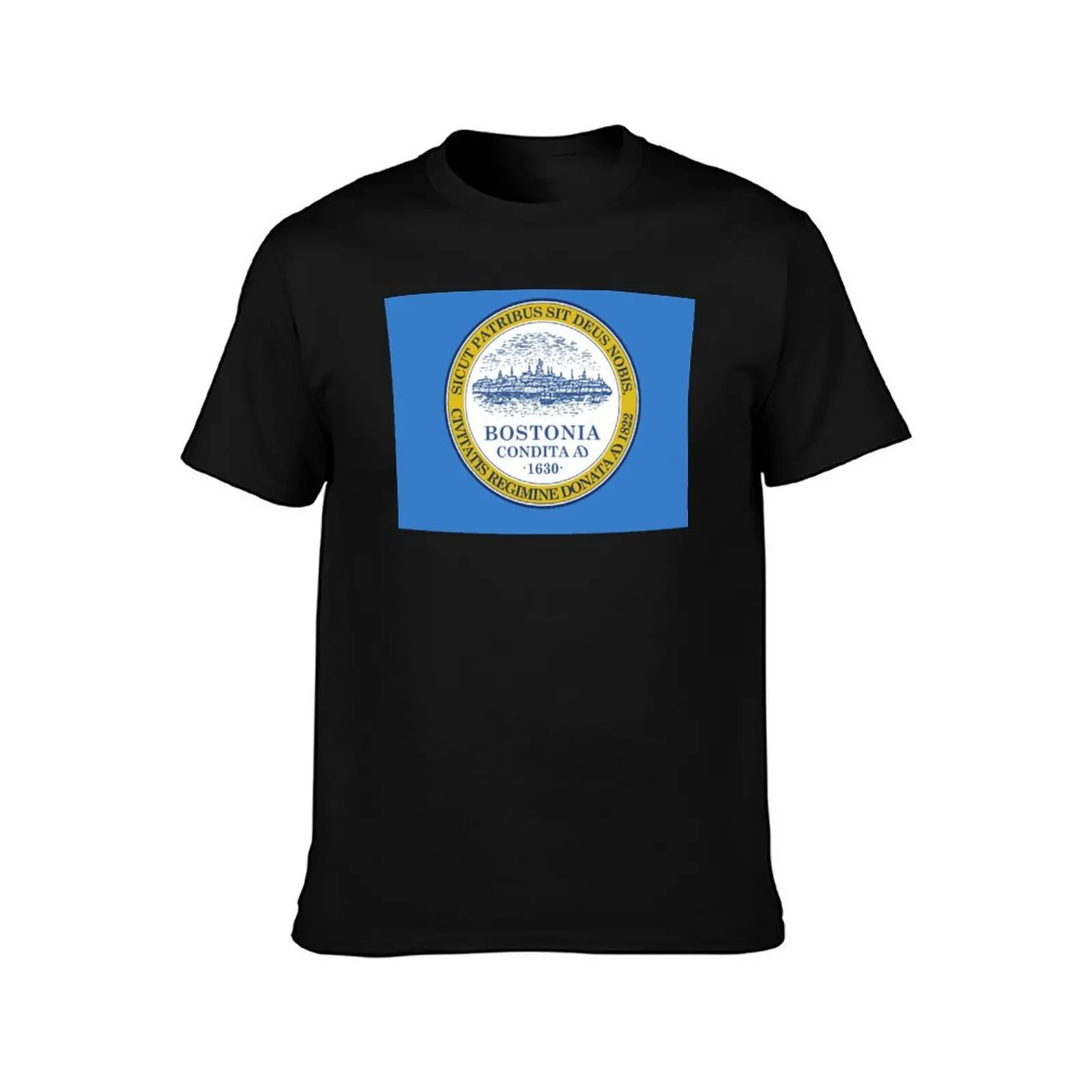Flag of Boston T-Shirt Big and Tall Loose Fit T-Shirt