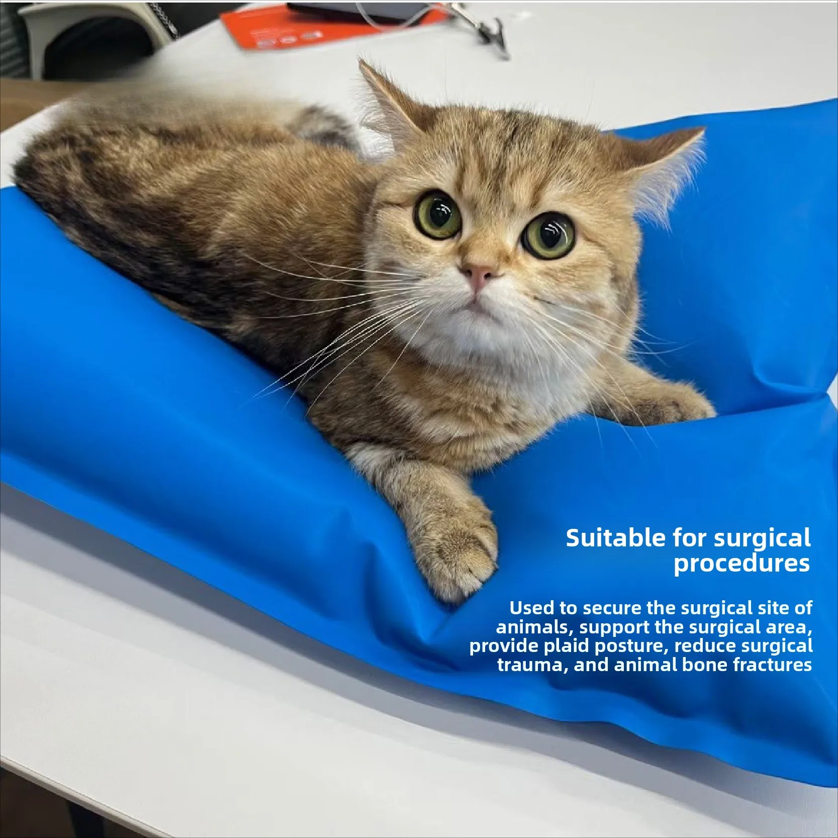 Waterproof Veterinary Surgery Mat Non-Slip Heat-Resistant Operating Table Pad for Dogs Cats Clinic