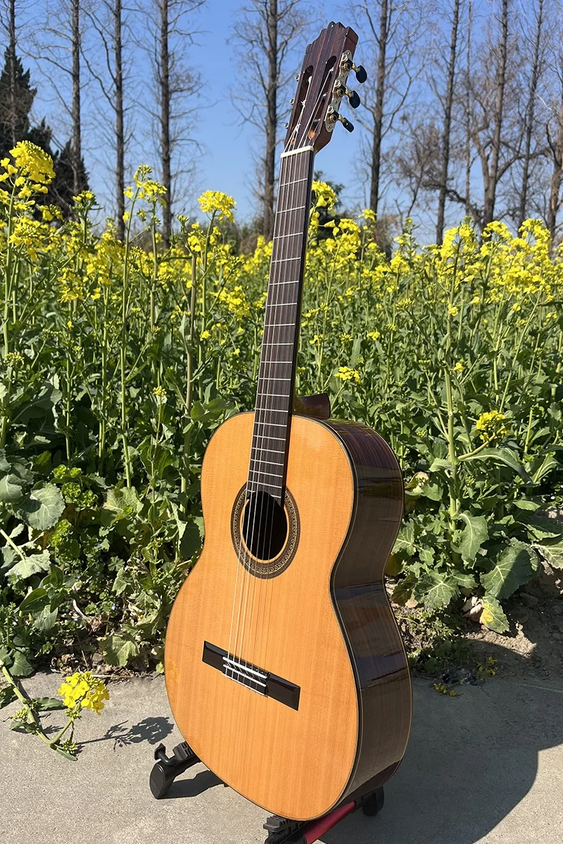 Aiersi  Music Musical Instruments All Solid Cedar Top Rosewood Classical Guitar with High Quality