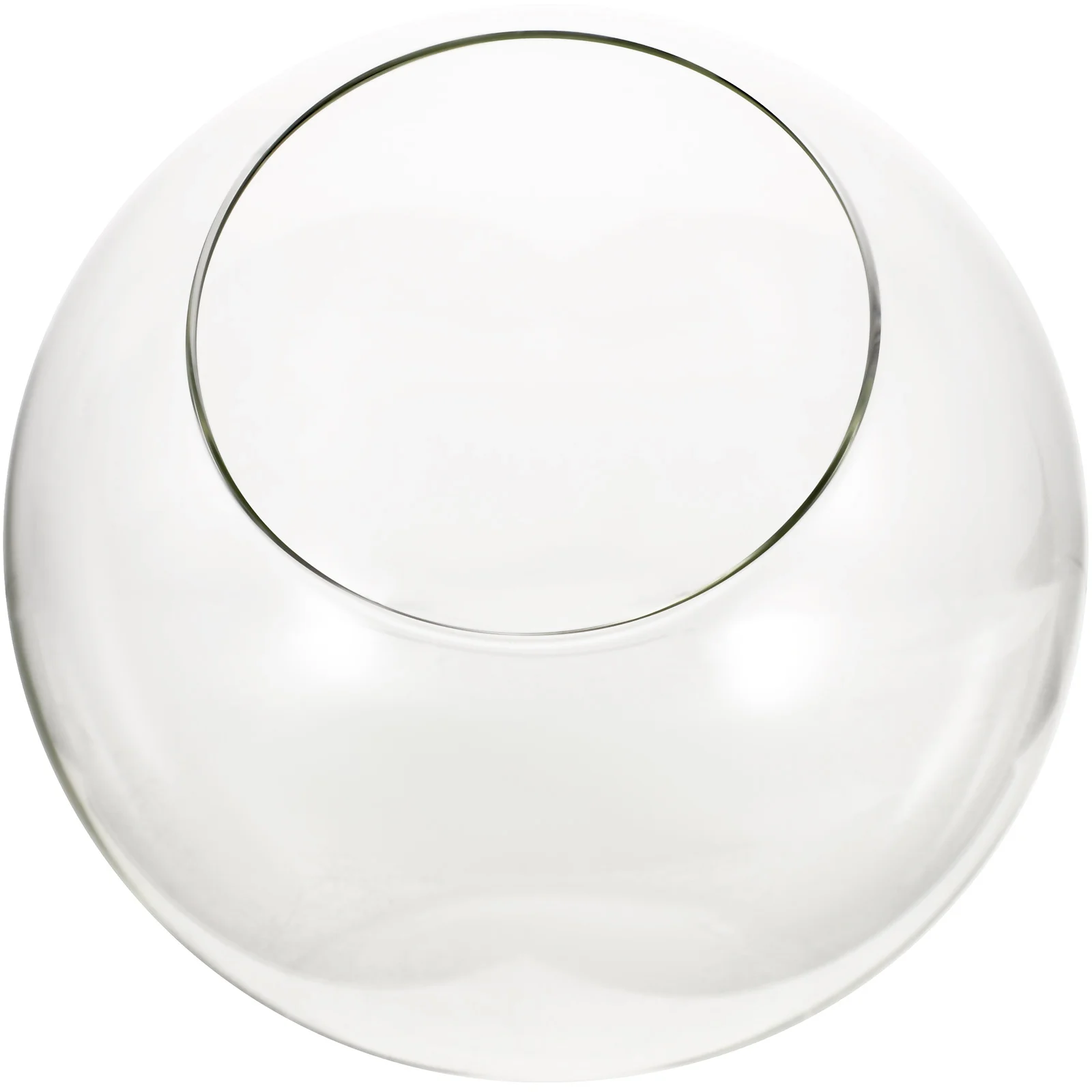 

Glass Terrarium Moss Plant Bottle Small Elegant Slant Opening Succulent Air Plant Display Micro Landscape DIY Decorative