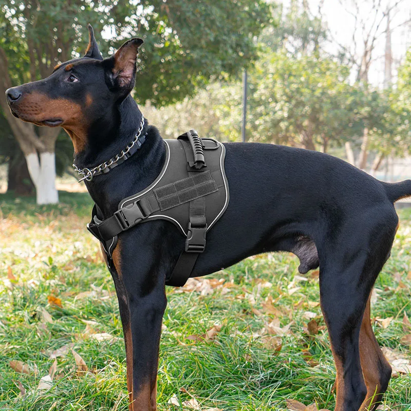 Taktisches Hundegeschirr für Große Hunde, Zugsicher, Explosionsgeschützt, Robust, Verstellbar, Militärqualität K9 Trainings- und Spaziergangsweste – Detail 10