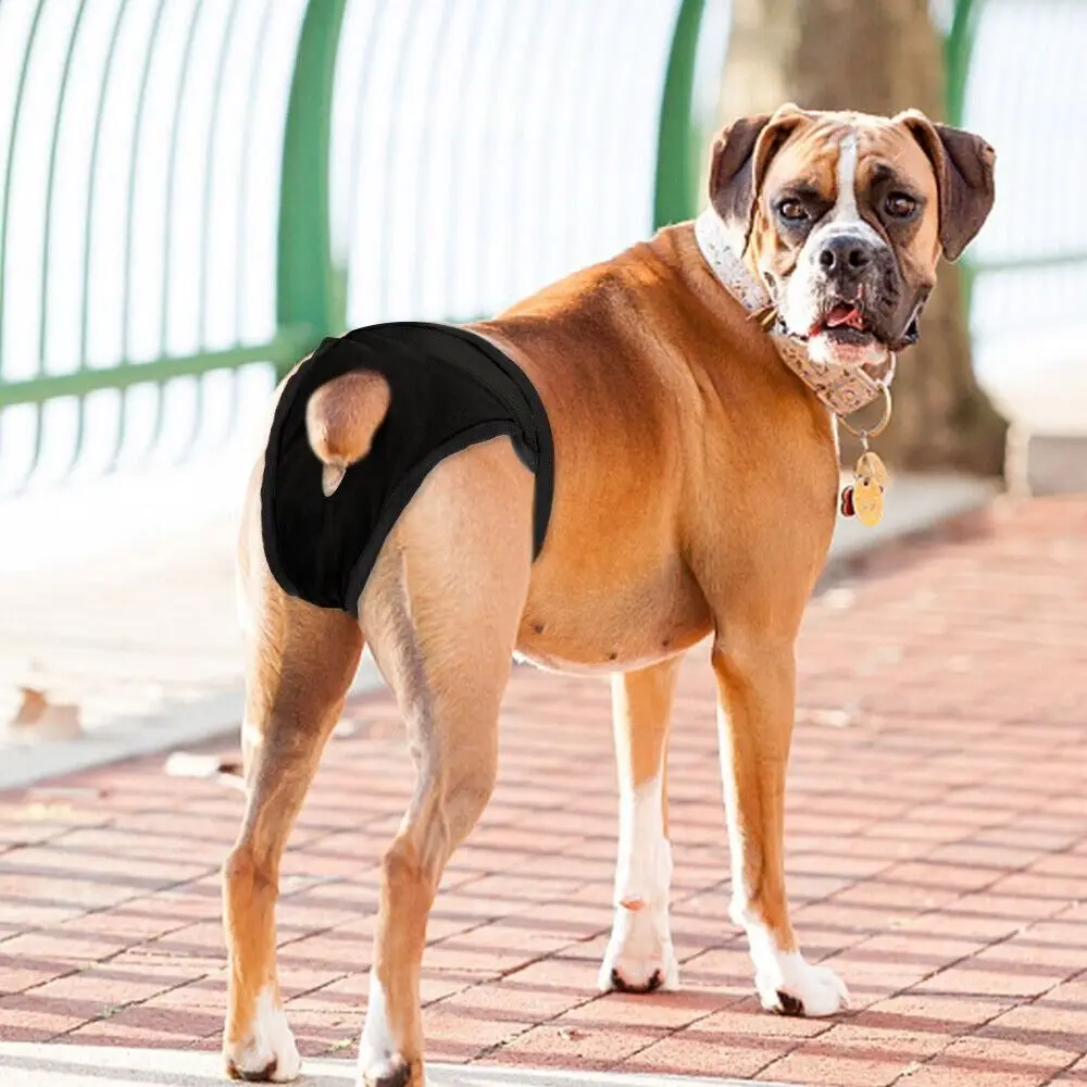 With 3 Cotton Pads Female Dog Panties Washable Easy To Wear Dog Physiological Nappies Adjustable Breathable