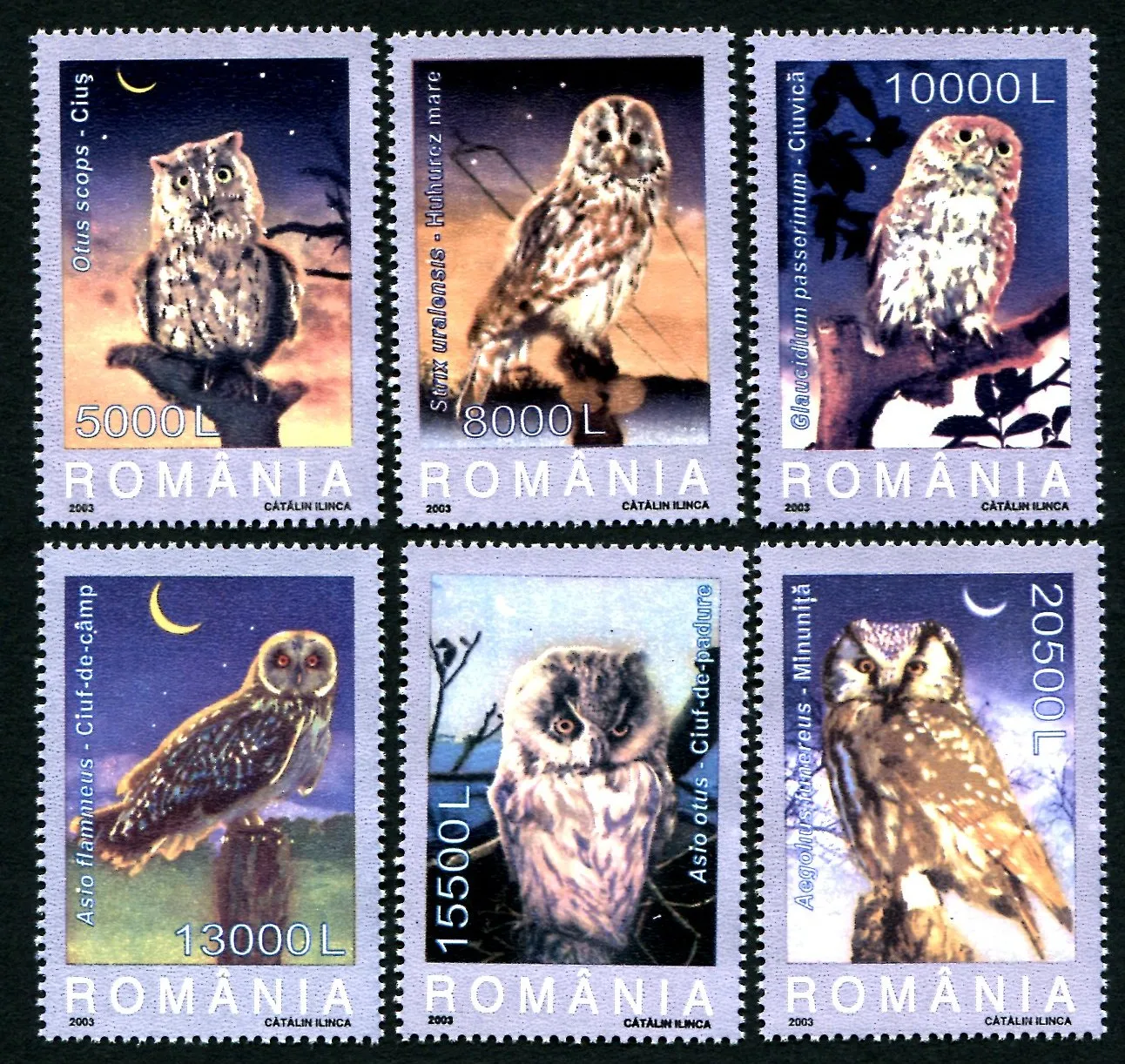 Romania Post Stamps Postage Year 2003 Night Birds Raptor Owl Full Set 6 New Collectible Postage Stamps Material For Scrapbooking
