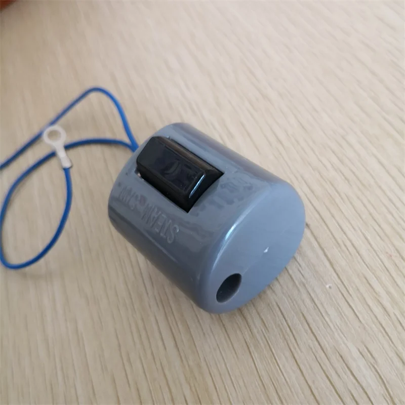 Iron Steam Switch Longtian 300lf Micro Switch, Three Horses T4,T5 Steam Injection Inching Switch