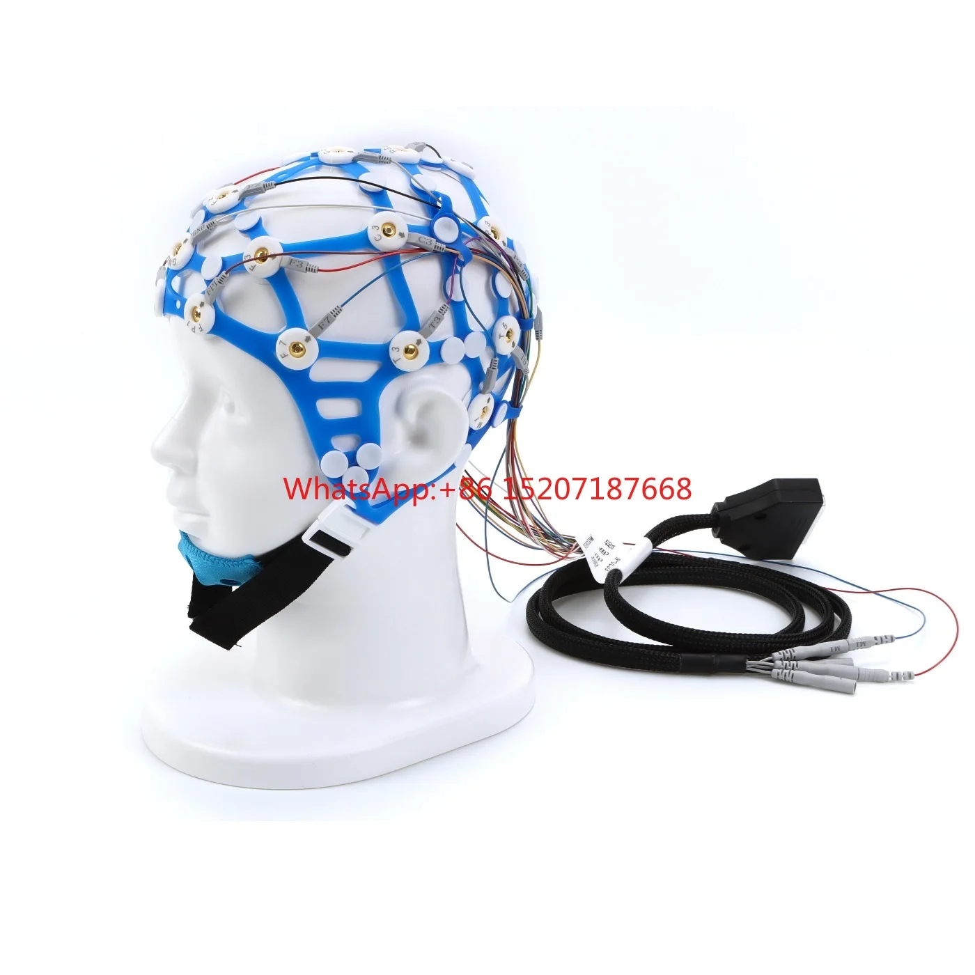 

EEG Electrode Cap for human and Vet