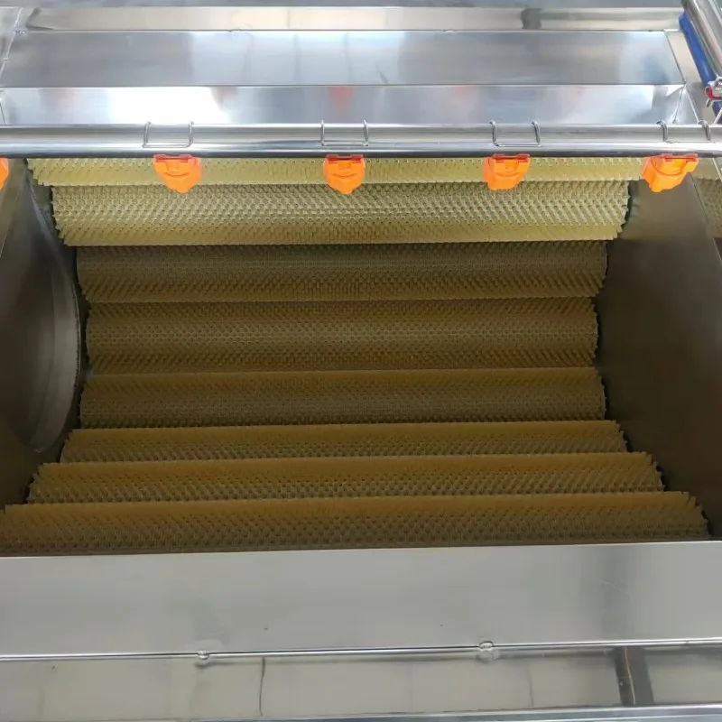 CE 1000kg/h Commercial 304sus Hot Sale Cassava Peeling Washing Machine Potato Brush Washer Automatic Potato Cleaning Peeler