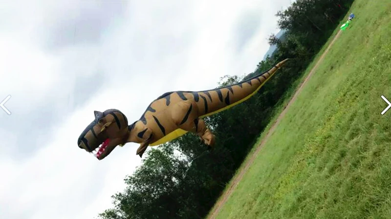 3D-Drachen, großer Dinosaurier-Drachen, fliegender Oktopus-Drachen, aufblasbarer Drachen für Erwachsene, professioneller Panda-Drachen-Anhänger, fliegender Drache, Kevlar