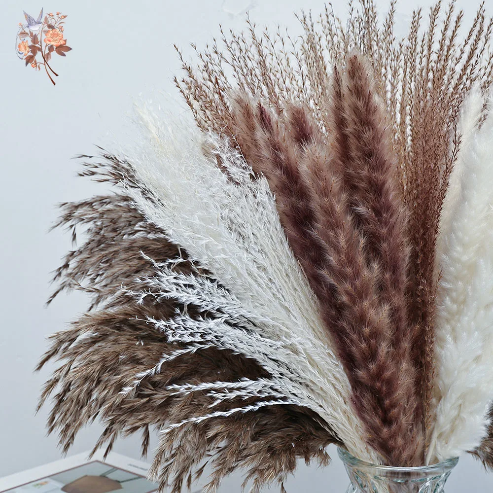 44 ชิ้น Fluffy Foxtail Pampas Bunch ดอกไม้ตกแต่งบ้านสีขาวธรรมชาติ Reeds Bouquet สําหรับงานแต่งงานตาราง Arrangements