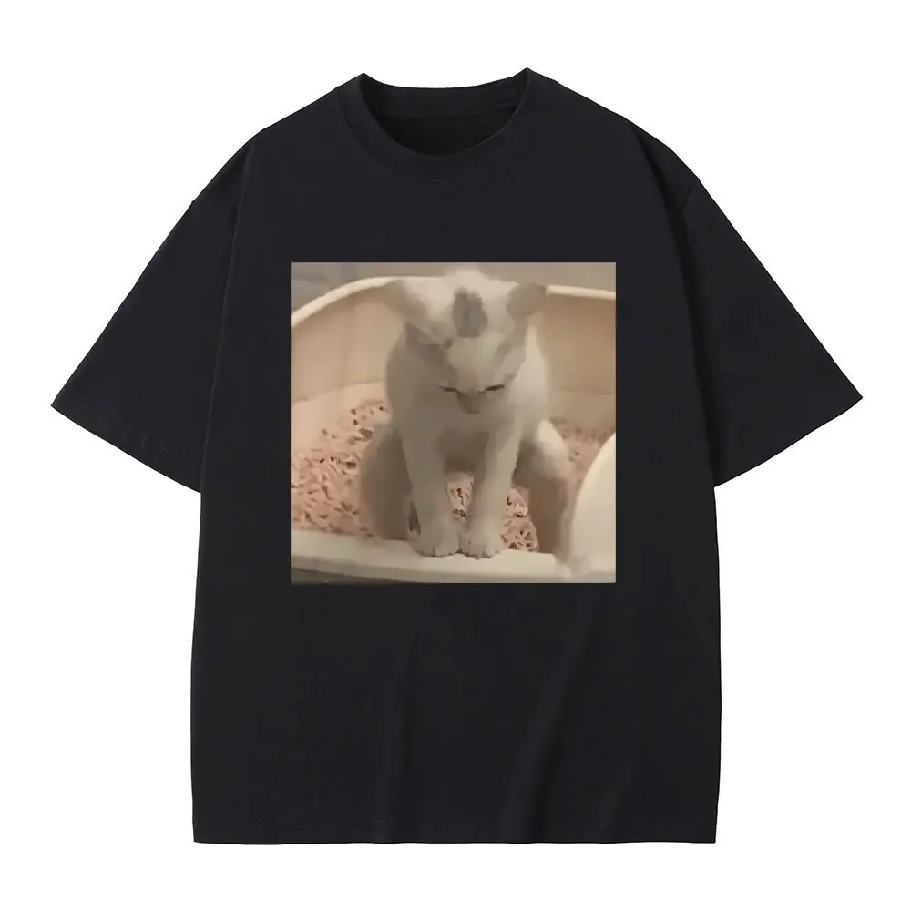 Мужская футболка для мальчиков, Повседневная рубашка с принтом Итак и кошки