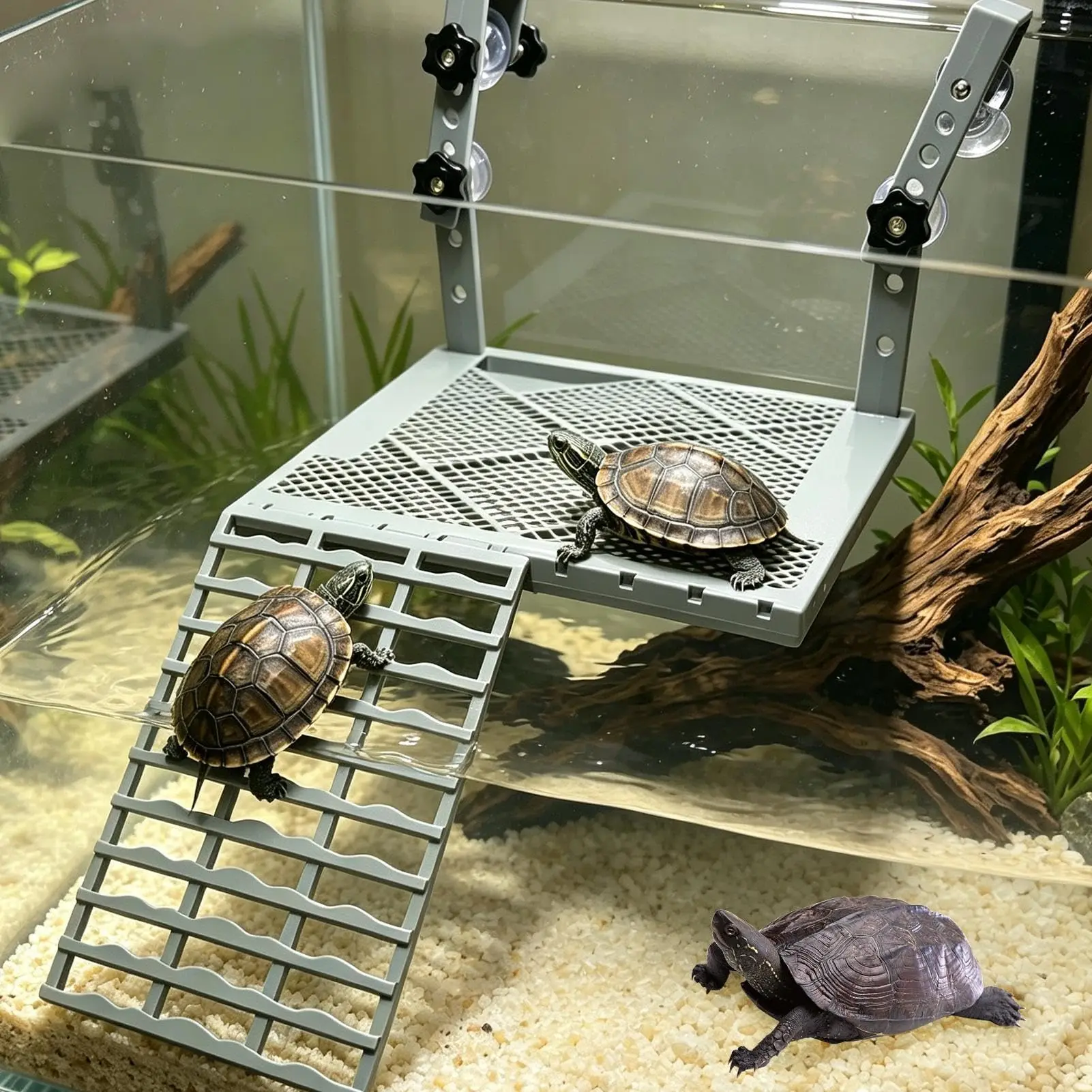Turtle Basking Platform Hanging Turtle Dock Ramp Terrace Climbing Habitat Float Island for Fish Tank Aquarium Accessories