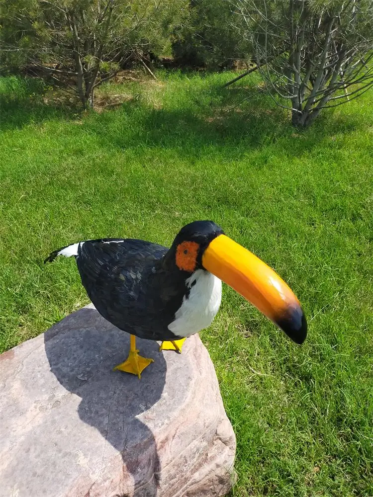 huge real life Toucan model foam&furs big-mouth black bird garden decoration gift about 100cm xf2882