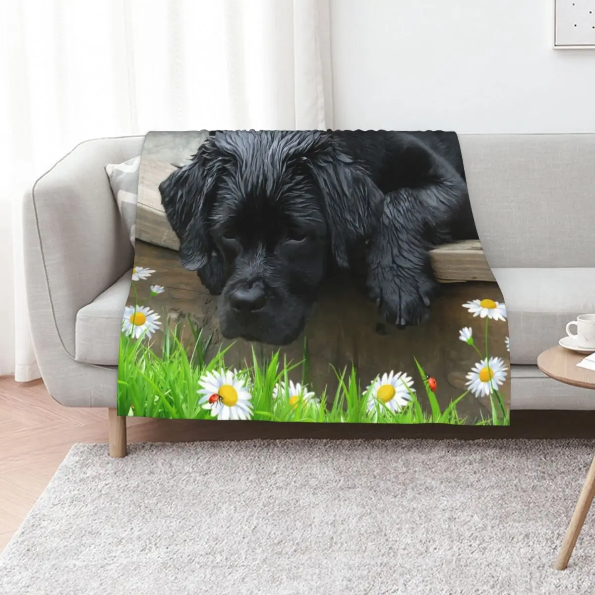 Appreciate the Little Things - Black Lab & Ladybug Throw Blanket Decorative Throw For Sofa Thin Winter beds decorative Blankets