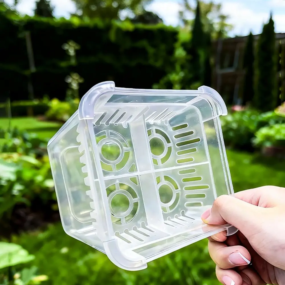 Clear Hydroponic Container For Tulip Lily Bulb Planting Basket Durable Breathable Home Office Garden Plant Pot