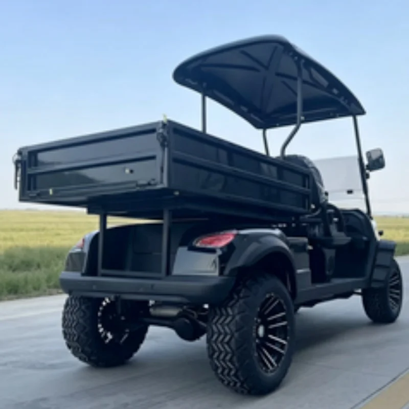 2026 New 2-Seater Golf Cart Street Legal Multi-Function Electric Golf Cart For Golf Courses Bumper Off-Road Tires Rear Cargo Box
