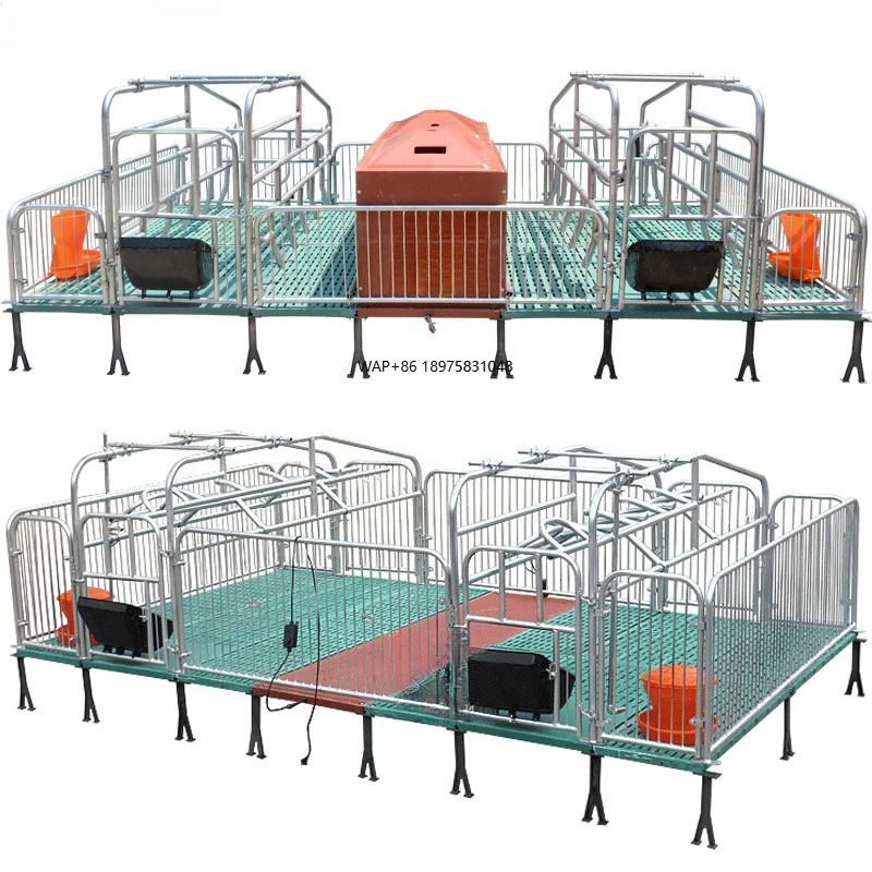 New Economic Sow Gestating Bed Pig Farming Equipment Plate Leakage Plate