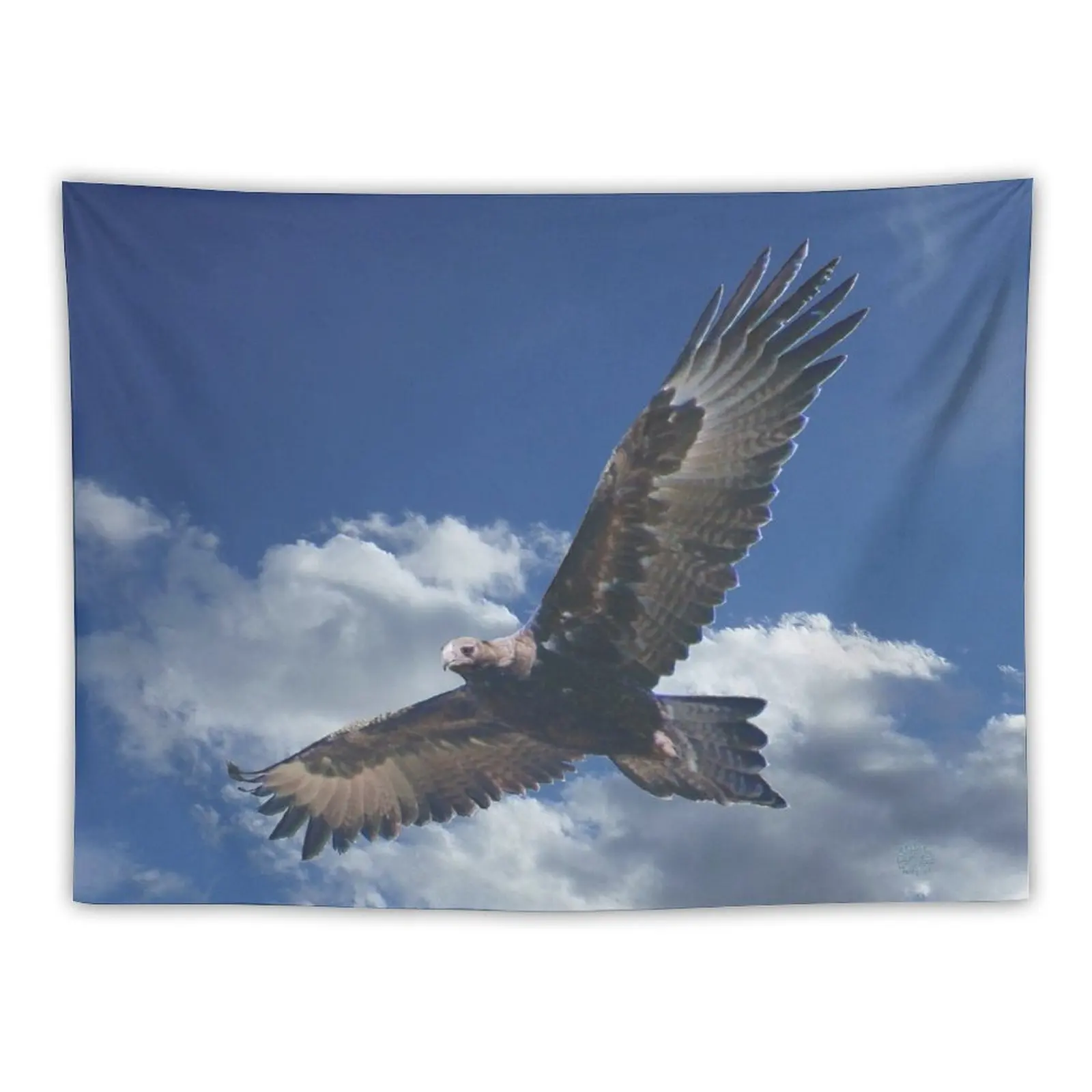 

New RAPTOR ~ Soaring Wedge-tailed Eagle DGKXWEB8 by tasmanianartist 31122020 Tapestry Cute Room Decor Home Decoratings Decor