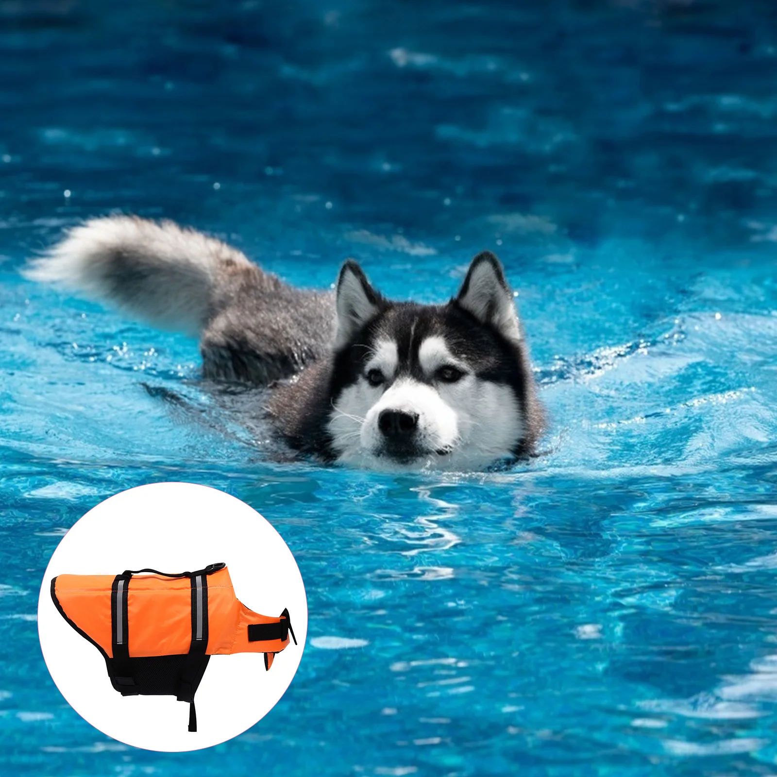 سترة تعويم للحيوانات الأليفة، شرائط عاكسة، أبازيم سريعة التحرير، مقابض متينة، تصميم قفل مزدوج لشاطئ حمام السباحة