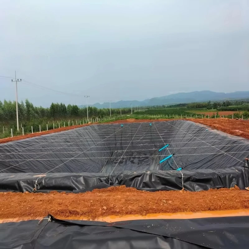 Factory Made HDPE Geomembrane Sheet Custom Thickness for Pond Dam Canal Reservoir Landfill and Mining Projects