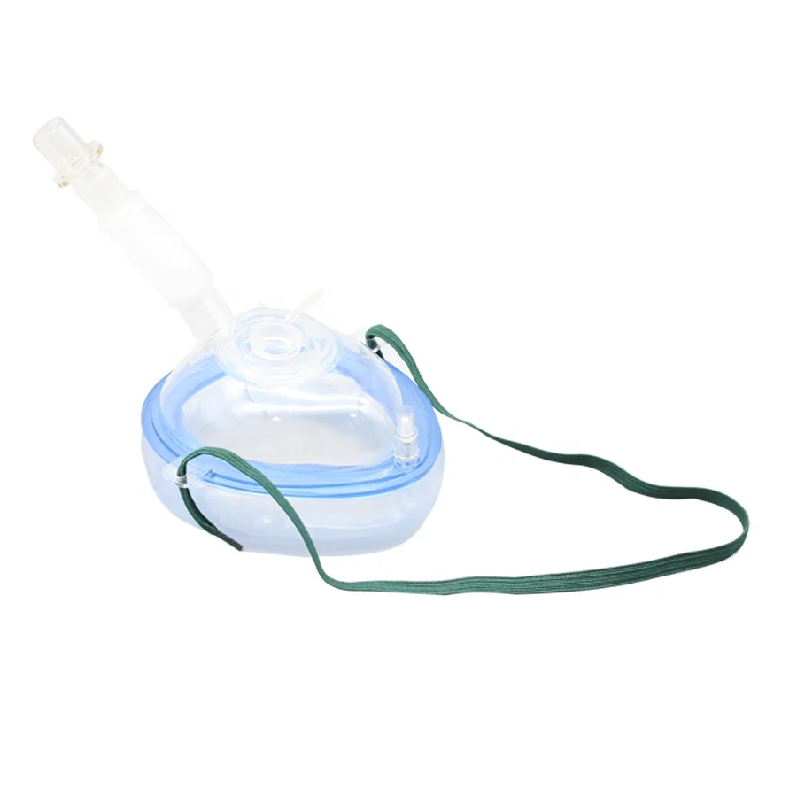 Disposable endoscopy insensibility mask endoscopy mask for use in analgesic gas administration