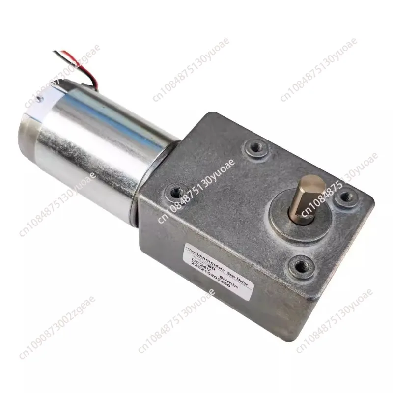 1pcGW600 12V 24V DC tail shaft for encoder Worm Gear motor Electric engine Worm reducer Low speed High torque for robot lift car