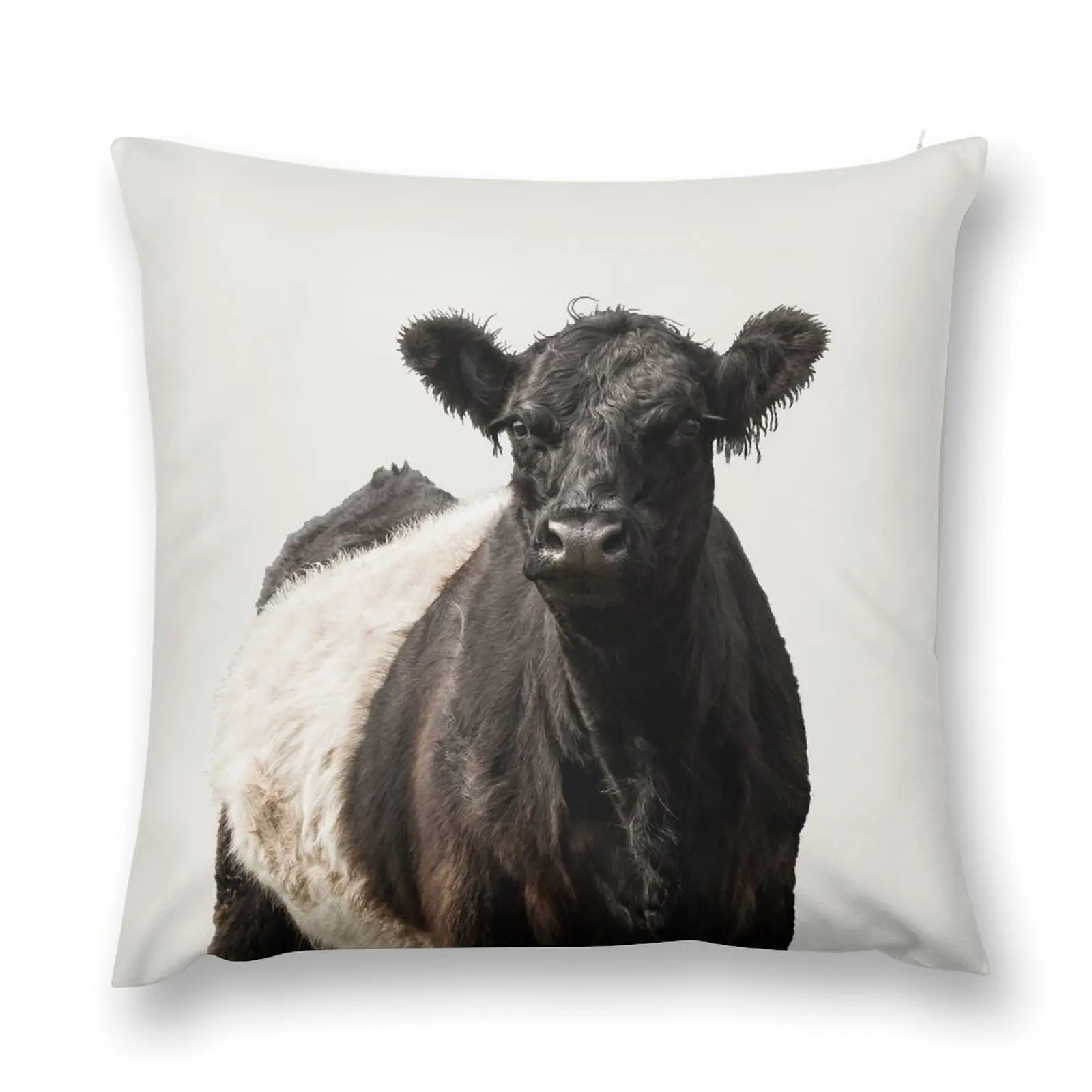 

Belted Galloway Cow Throw Pillow Decorative Sofa Cushion Sofa Pillow Cover Christmas Throw Pillows Covers pillow