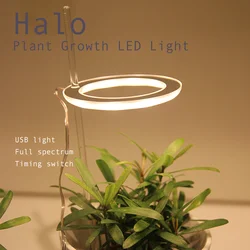 Lampe Horticole de Croissance LED pour Plantes d'Nik, Éclairage à Trois Anneaux, USB, pour Semis, Fleurs et Succulentes