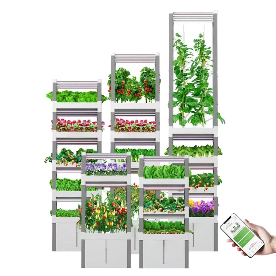 

Lettuce Strawberry Fruit with Smart Phone Controlled Hydroponic Planting System - DIY Vertical Greenhouse Kit for