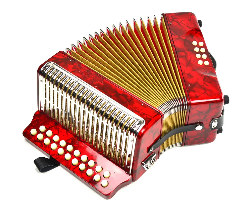 21 Keys 8 Bass Piano Accordion with Adjustable Straps Gig Bag Musical Instrument for Kids Beginners Children Music Gifts